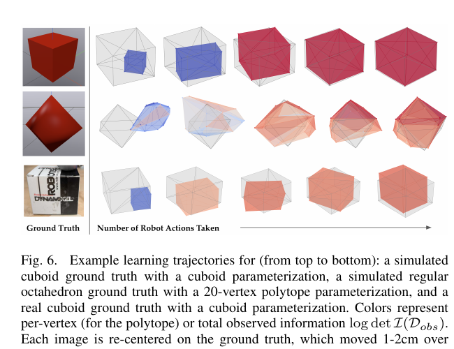 Per-action estimation trajectories for cuboids, polytopes, and the real object
