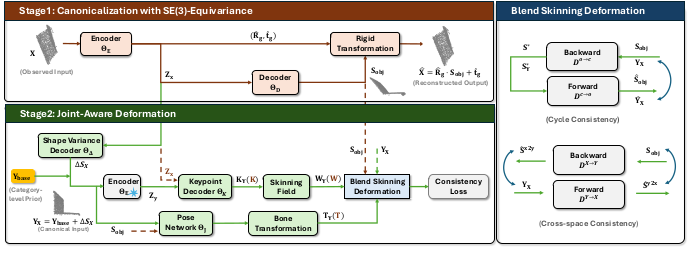 SCAPO canonicalization 与 joint-aware deformation